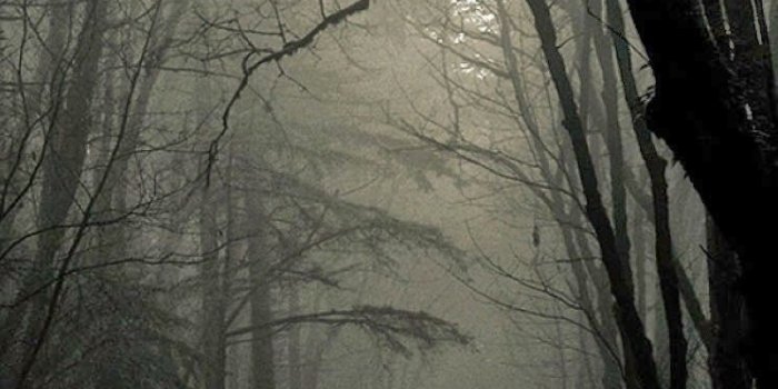 744x1392 Creepy iPhone Wallpapers - Top Free Creepy iPhone Backgrounds