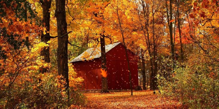 1920x1080 Fall in October HD wallpaper