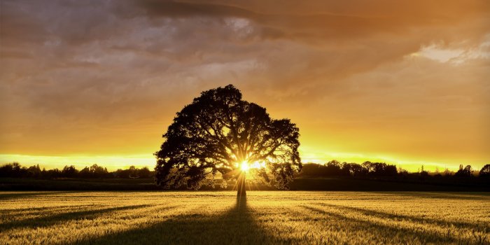 2880x1800 Summer Landscape ❤ 4K HD Desktop Wallpaper for • Dual Monitor