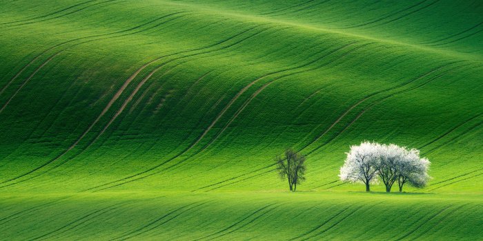 3200x2000 Green Landscape Wallpapers | HD Wallpapers | ID #23865