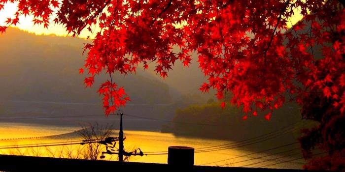 2560x1600 Autumn Landscape Wallpapers