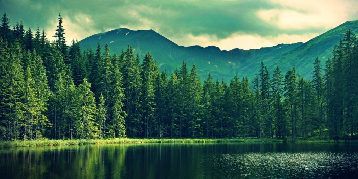 2560x1600 Green Landscape Wallpaper | 2560x1600 | ID:40745