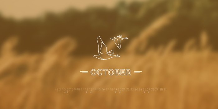 2880x1800 October 2013 Desktop Calendar Wallpaper | Paper Leaf Design