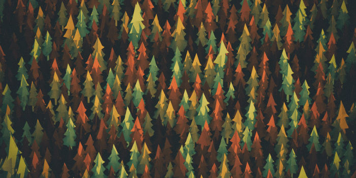 1920x1080 1920x1080] October Forest (variant in comments) : wallpapers