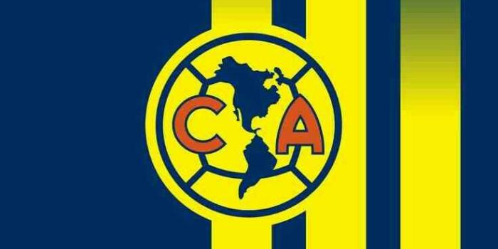 736x1130 30+ America Soccer Wallpapers - Download at WallpaperBro