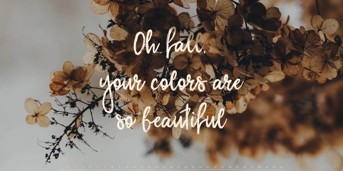 4000x2500 Free Wallpapers | Discover new Designs every Month | JO & JUDY