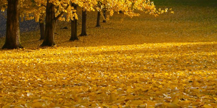 1920x1080 October Wallpaper #6821773