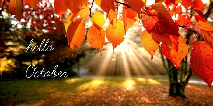 1920x1108 Hello October Images, Hello October Wallpapers