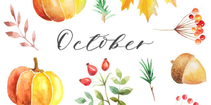 852x1608 October Desktop Downloads!
