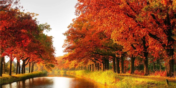 1920x1080 River: October River Autumn Orange Gold Trees Colors Wallpaper For