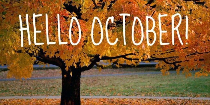 1600x1200 October Scenery Wallpapers - Top Free October Scenery Backgrounds