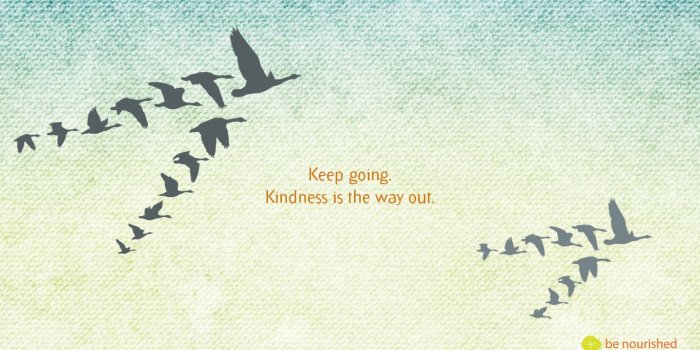 1366x768 Wallpaper.kindness - Be Nourished