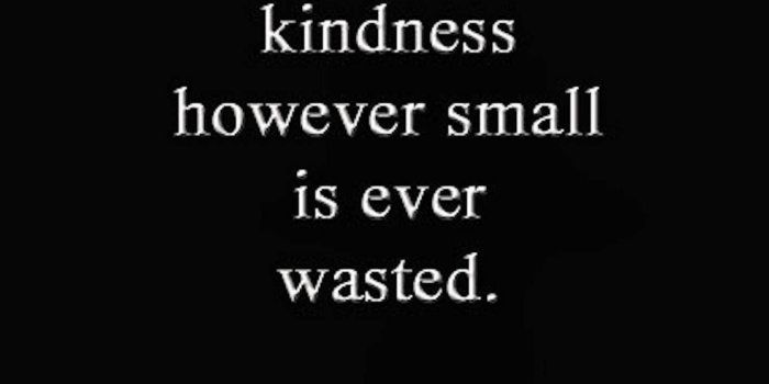 1441x1280 Kindness Wallpaper by xrscorpio - eb - Free on ZEDGE™