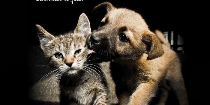 1280x1024 Kindness Wallpapers