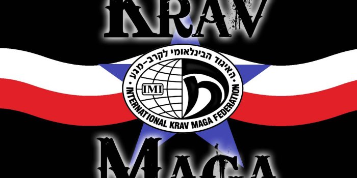 1761x1761 Krav Maga Wallpapers