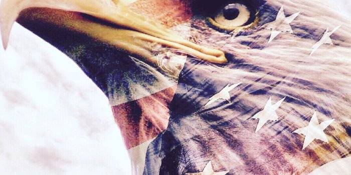 1206x2046 Donald Trump Art - ID: 88391 - Art Abyss