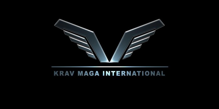 1920x1080 Krav Maga Wallpapers