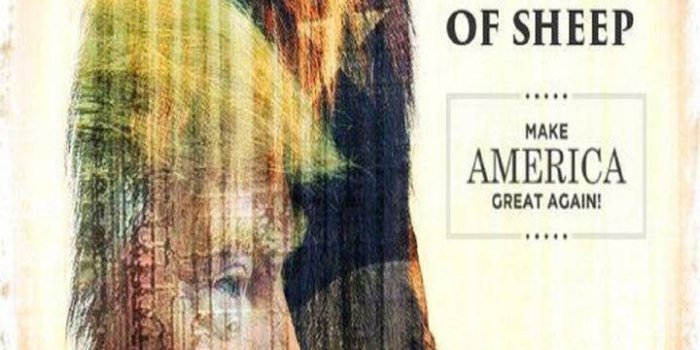 720x1280 Trump MAGA Wallpaper by chalupa4u - 91 - Free on ZEDGE™