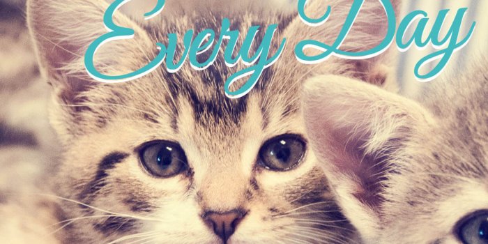 1242x2248 Kindness Wallpapers