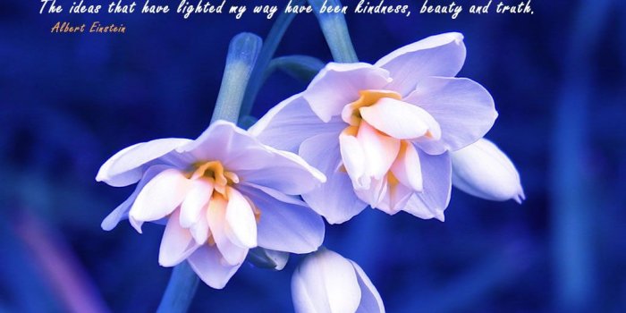 1024x768 Motivational Wallpaper on kindness: The ideas that have lighted my