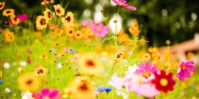 1920x1080 Random-Acts-Of-Kindness-wallpaper-wp3801103 - live wallpaper HD