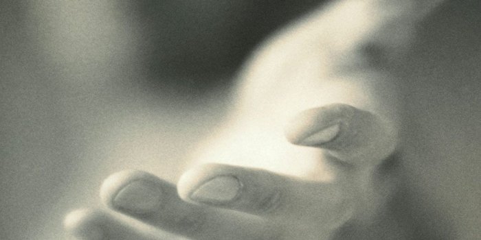 1024x768 The Gift of Compassion by Sue Jones – Kindness Blog