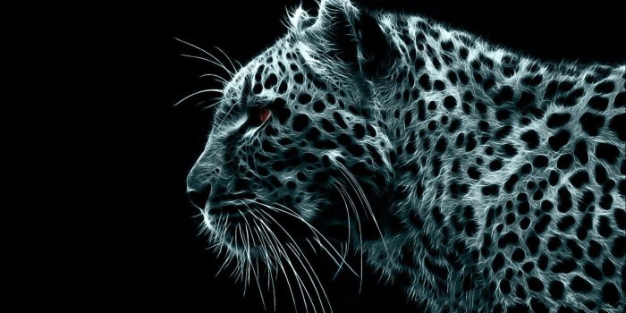1920x1080 Crazy Desktop Wallpapers - Top Free Crazy Desktop Backgrounds