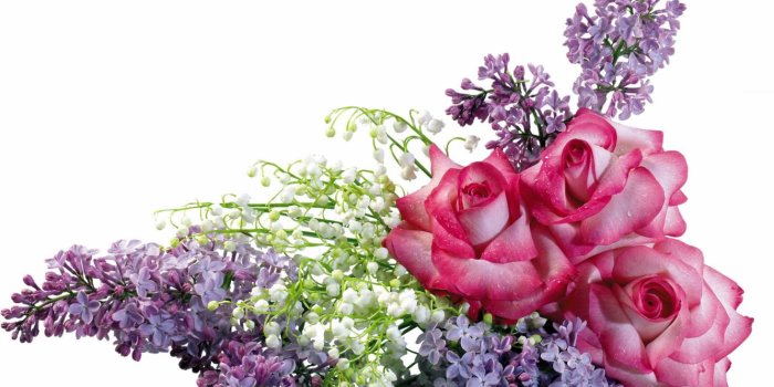 1333x750 Flower Arranging, March 8, Woman, International Womens Day, Kindness