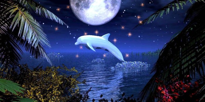 1024x768 Best 28+ Craziest Desktop Backgrounds on HipWallpaper | Craziest