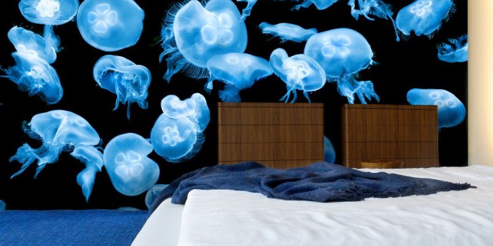 1500x1500 The craziest biodegradable wallpaper I have ever seen! | Awesome