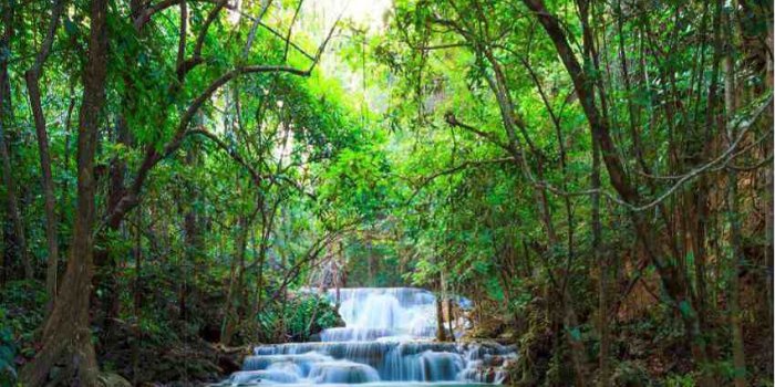 850x995 Wallpaper Inc Waterfall Wallpaper: Buy Wallpaper Inc Waterfall