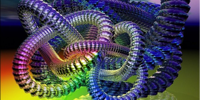 1024x768 48+] 3D Crazy Wallpapers on WallpaperSafari