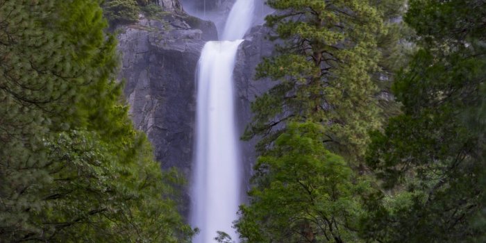 1440x2560 Waterfall in Forest Wallpaper - iPhone, Android & Desktop Backgrounds