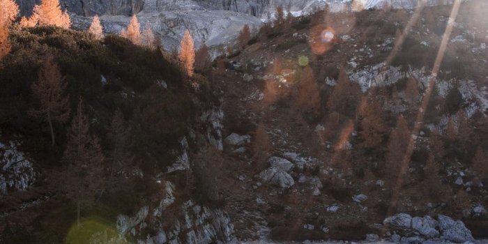 1000x1506 Fatherhood Collage | 20 best free hand, sand, wallpaper and dune