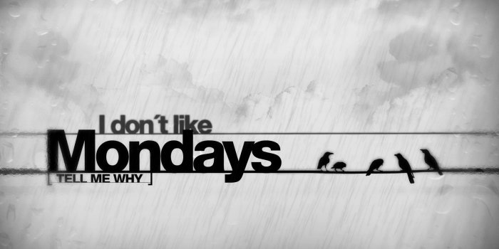 1920x1200 abstract, rain, birds, typography, monday :: Wallpapers