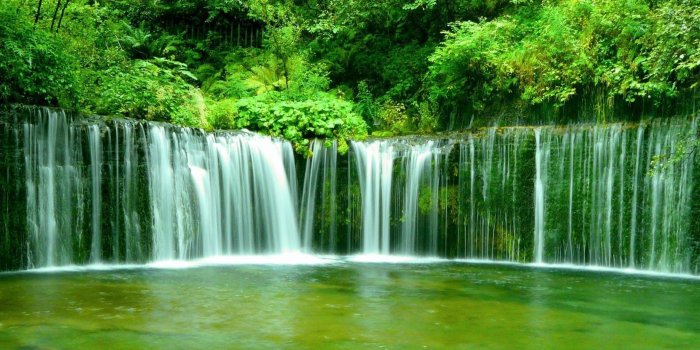 2560x1600 Free Nature Wallpaper Download with Jungle and Waterfall Picture