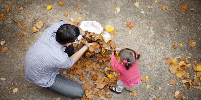2400x1600 Gathering Leaves