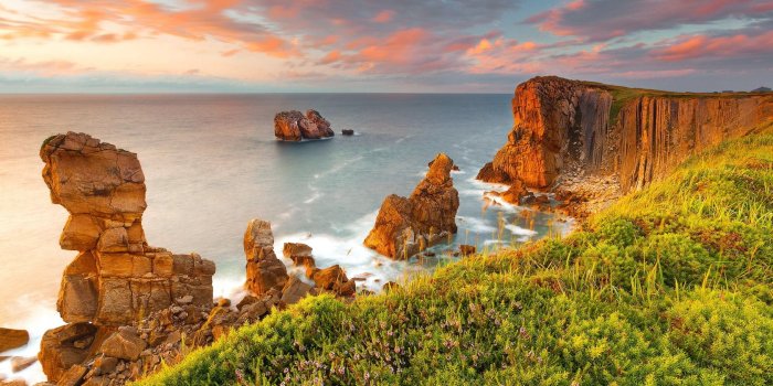 1680x1050 Ocean Cliff Coast Trees HD wallpaper