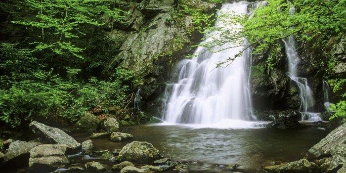1920x1080 Small forest waterfall wallpaper - Nature wallpapers - #13325