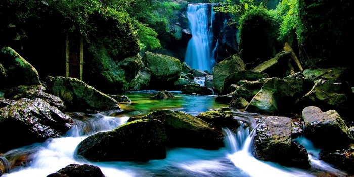 1920x1200 Forest Waterfall Wallpapers - Top Free Forest Waterfall Backgrounds