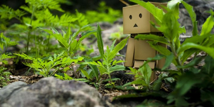 1600x1071 pic new posts: Cute Boxman Wallpaper