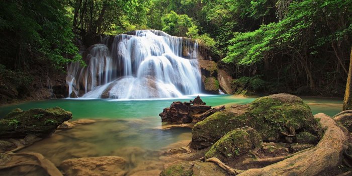 1920x1080 Forest Waterfall wallpaper | 1920x1080 | #70467