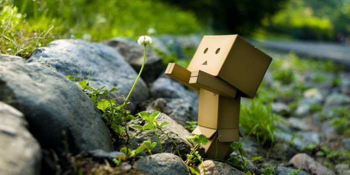 1920x1080 41+] Boxman Wallpaper on WallpaperSafari