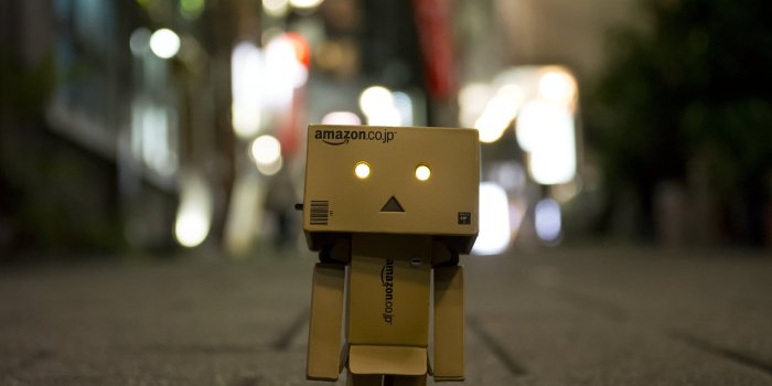 1920x1280 Sad box man wallpaper, Danbo, Japan, Japanese, Japanese Garden HD