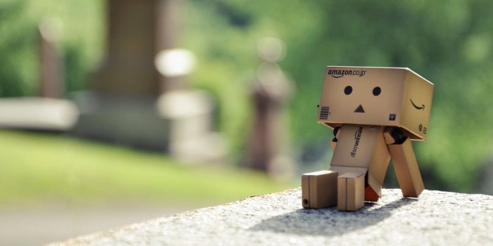 1920x1200 HD wallpaper: flower, gift, robot, danbo, Danboard, box, toy