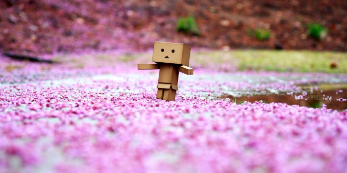 4272x2848 Cute Boxman Wallpaper - 52DazheW Gallery