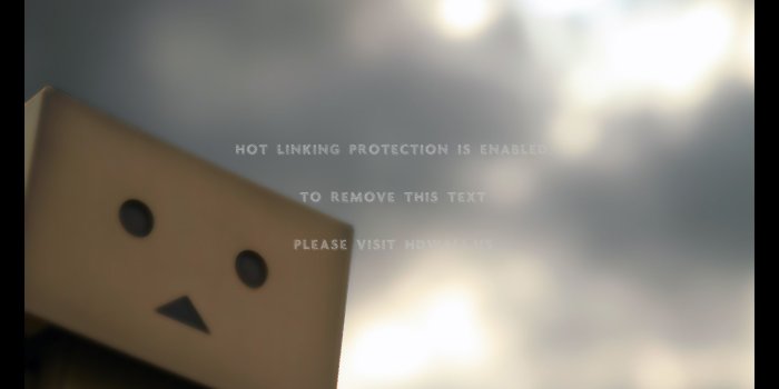 2254x3310 danboard boxman