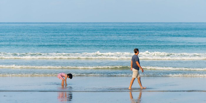 3840x2560 3066269 active, activity, beach, child, childhood, coast, dad