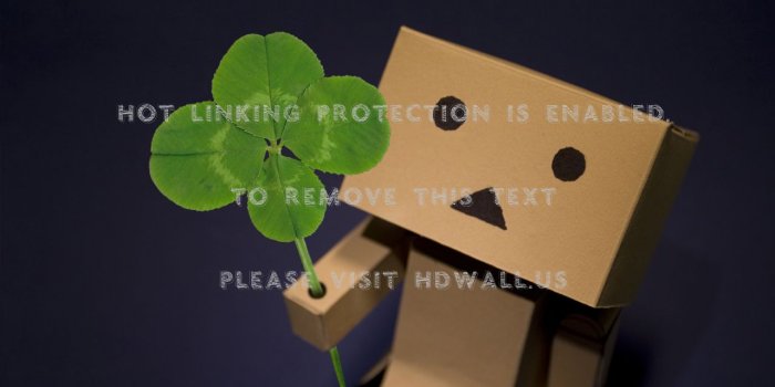 1280x853 danboard clover boxman