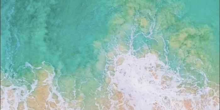 812x1754 Hide Home Screen Apps on Your iPhone for Less Wallpaper Clutter